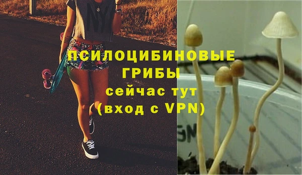 герыч Алзамай
