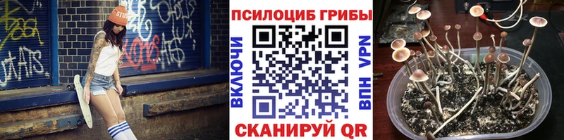 Галлюциногенные грибы Cubensis  hydra ссылки  Иланский  где купить наркотик 